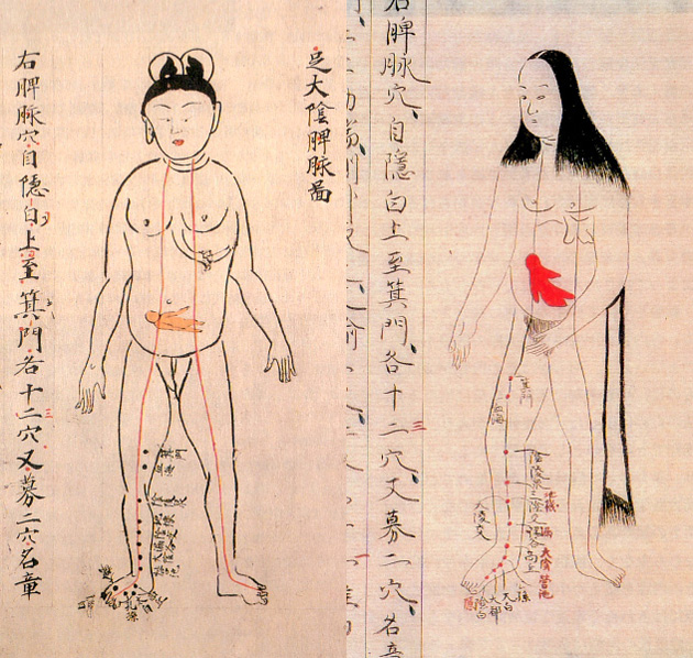 01-Ilustraciones-anatómicas-del-período-Edo-de-Japón