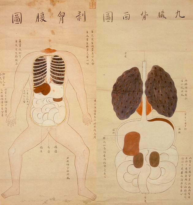 02-Ilustraciones-anatómicas-del-período-Edo-de-Japón