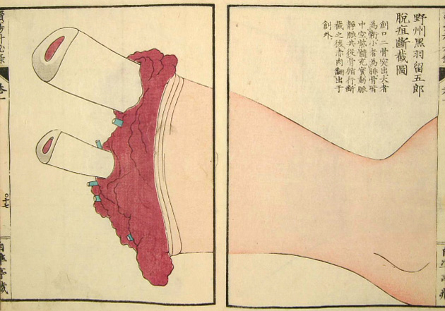 Ilustraciones-anatómicas-del-período-Edo-de-Japón
