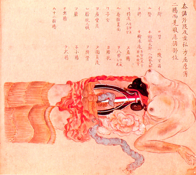 Ilustraciones-anatómicas-del-período-Edo-de-Japón