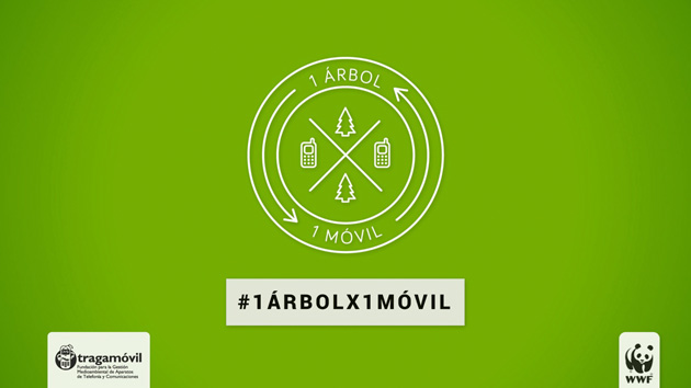 maslow-noizes_1arbolx1movil